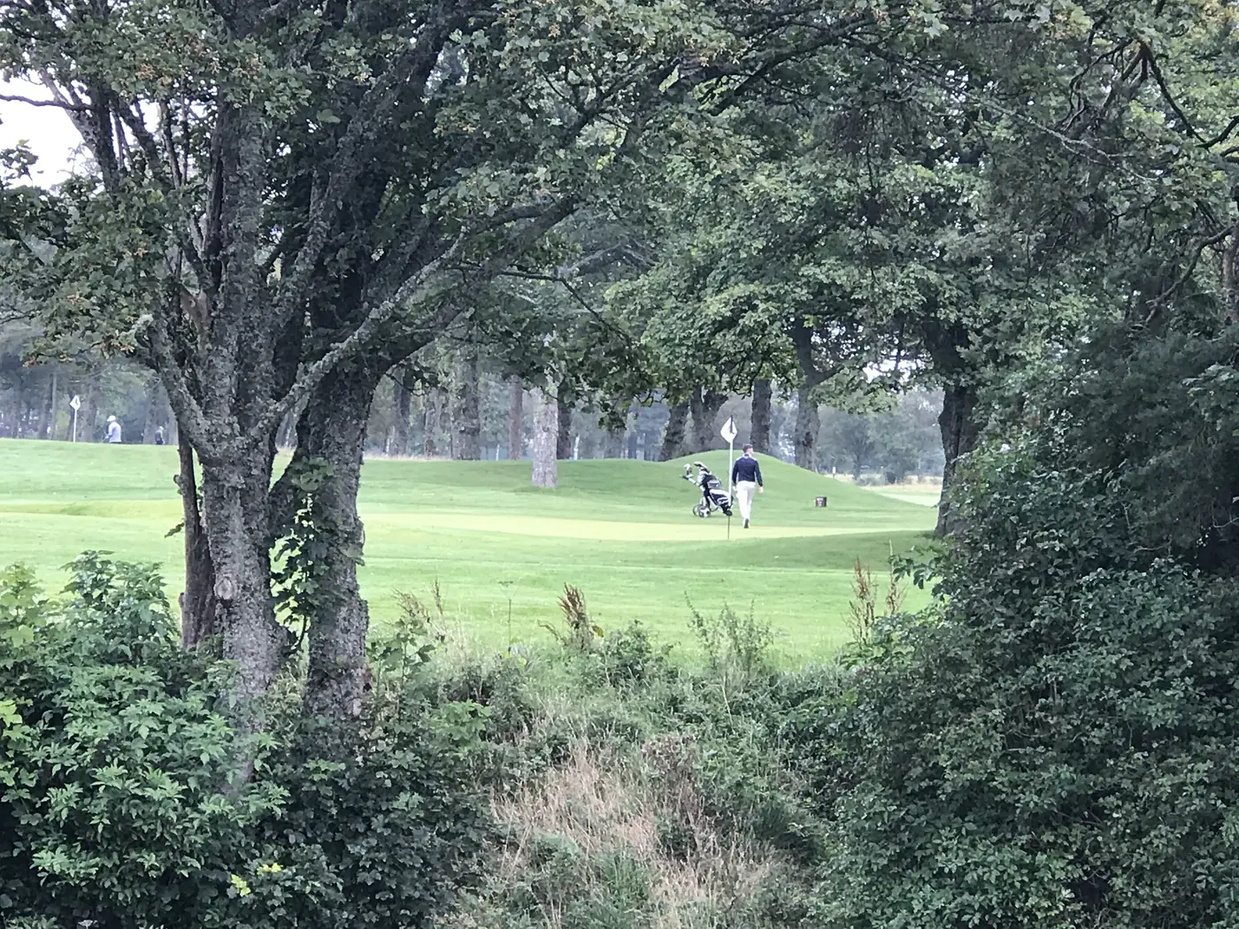 A golfer&rsquo;s view through a gap in mature trees to a sunlit green beyond