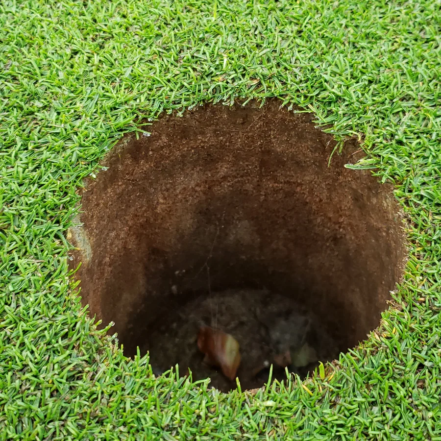 A soil core hole cut in fine turf, exposing the rootzone profile beneath the surface