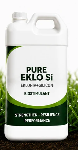 PURE Eklo Si container